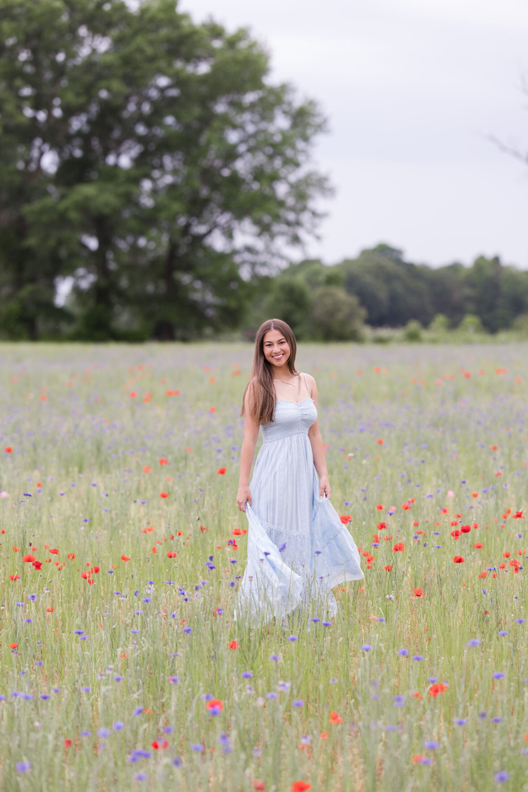 Senior poses in flower field at Blue Hill Gardens in a flowy blue dress
